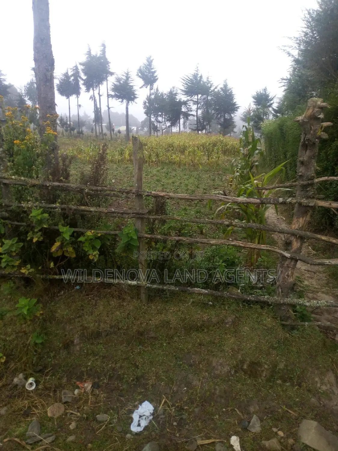 100*100 Plot on Sale at Soko Mpya Magumu Kinangop
