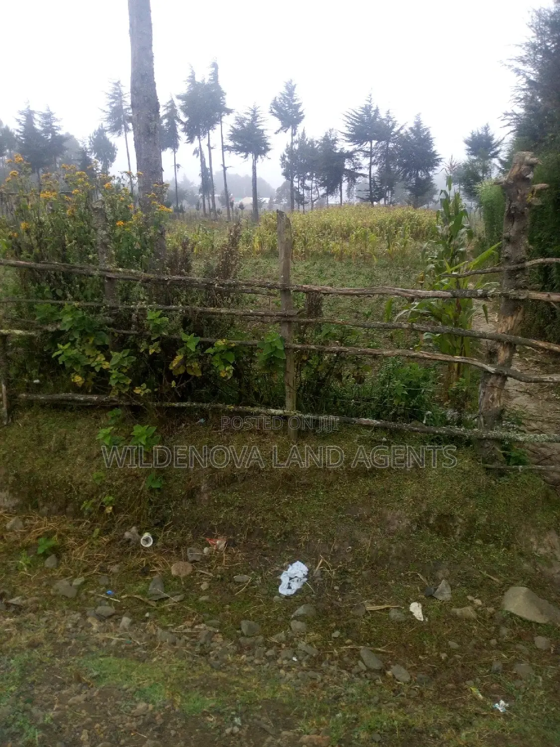 100*100 Plot on Sale at Soko Mpya Magumu Kinangop