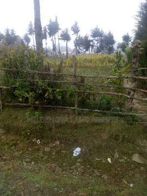 100*100 Plot on Sale at Soko Mpya Magumu Kinangop