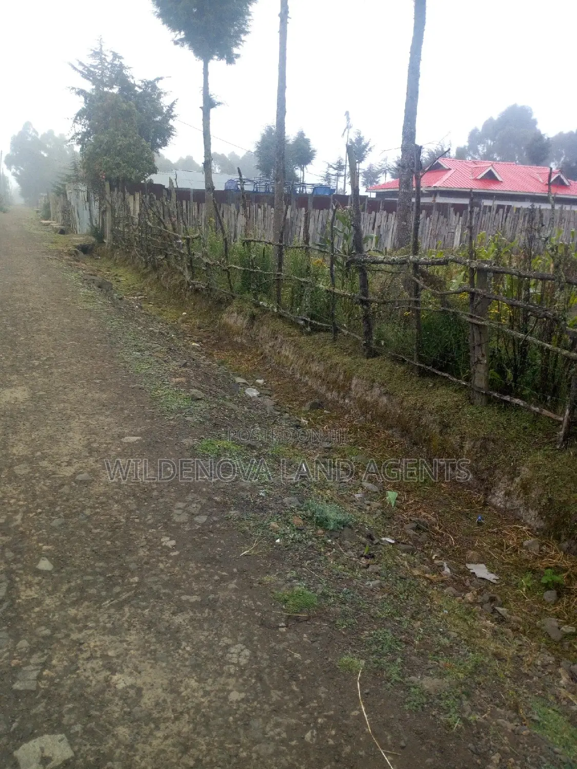 100*100 Plot on Sale at Soko Mpya Magumu Kinangop