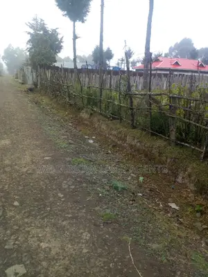 100*100 Plot on Sale at Soko Mpya Magumu Kinangop