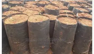 Seedlings / Planter Bags