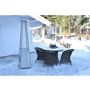Gas Patio Heater/ Gas Patio Heater Gas