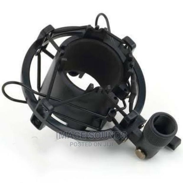 Shock Mount - main view