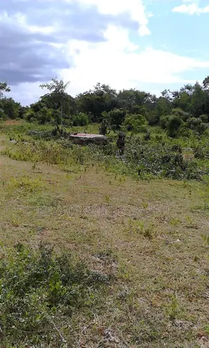 4 Acres Plot for Sale in Lamu