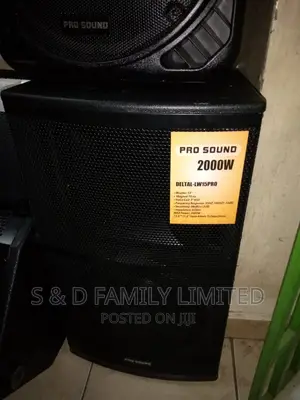 Prosound Wooden Speaker
