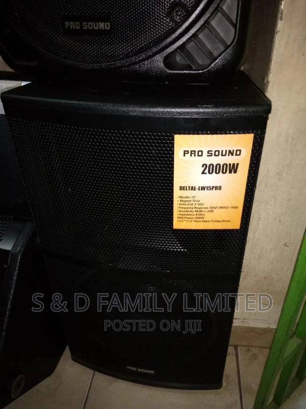 Prosound Wooden Speaker
