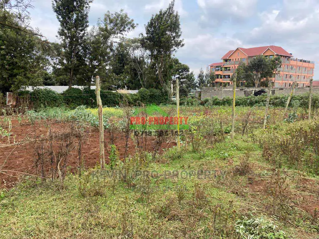 Prime Commercial Plot for Sale in Limuru Town.