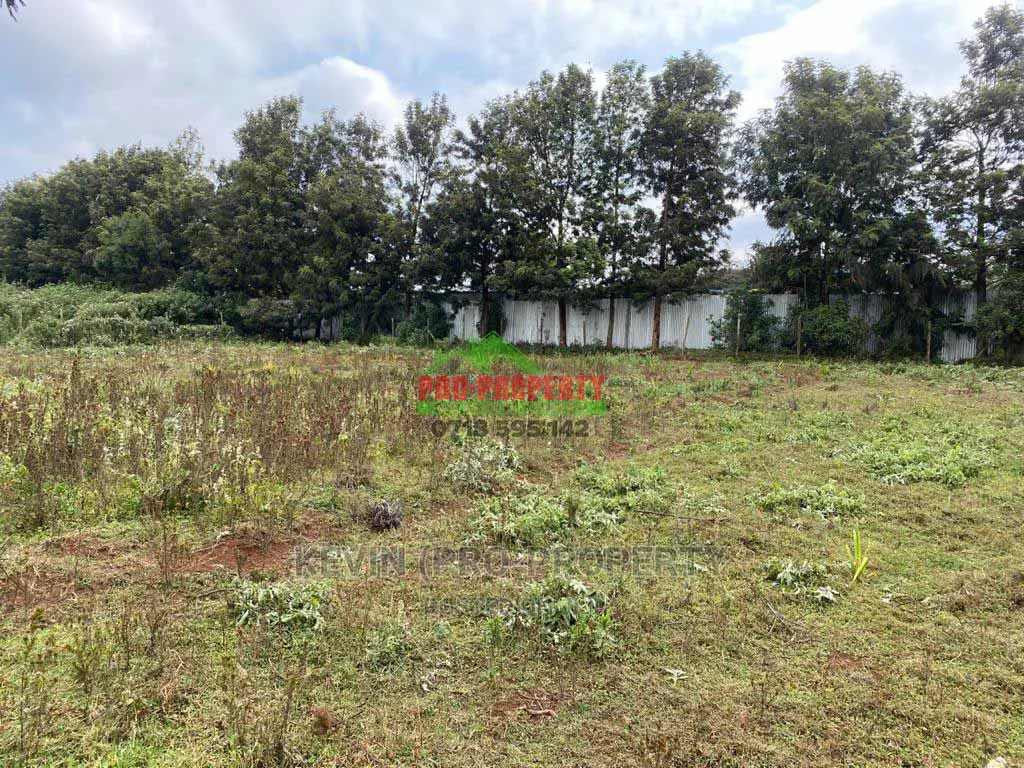 Prime Commercial Plot for Sale in Limuru Town.