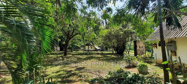 Commercial Beach Property on Sale in Mtwapa - thumbnail 18
