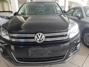 Volkswagen Tiguan 2015 Gray