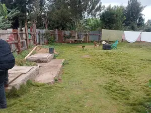 Karatina Prime Plot