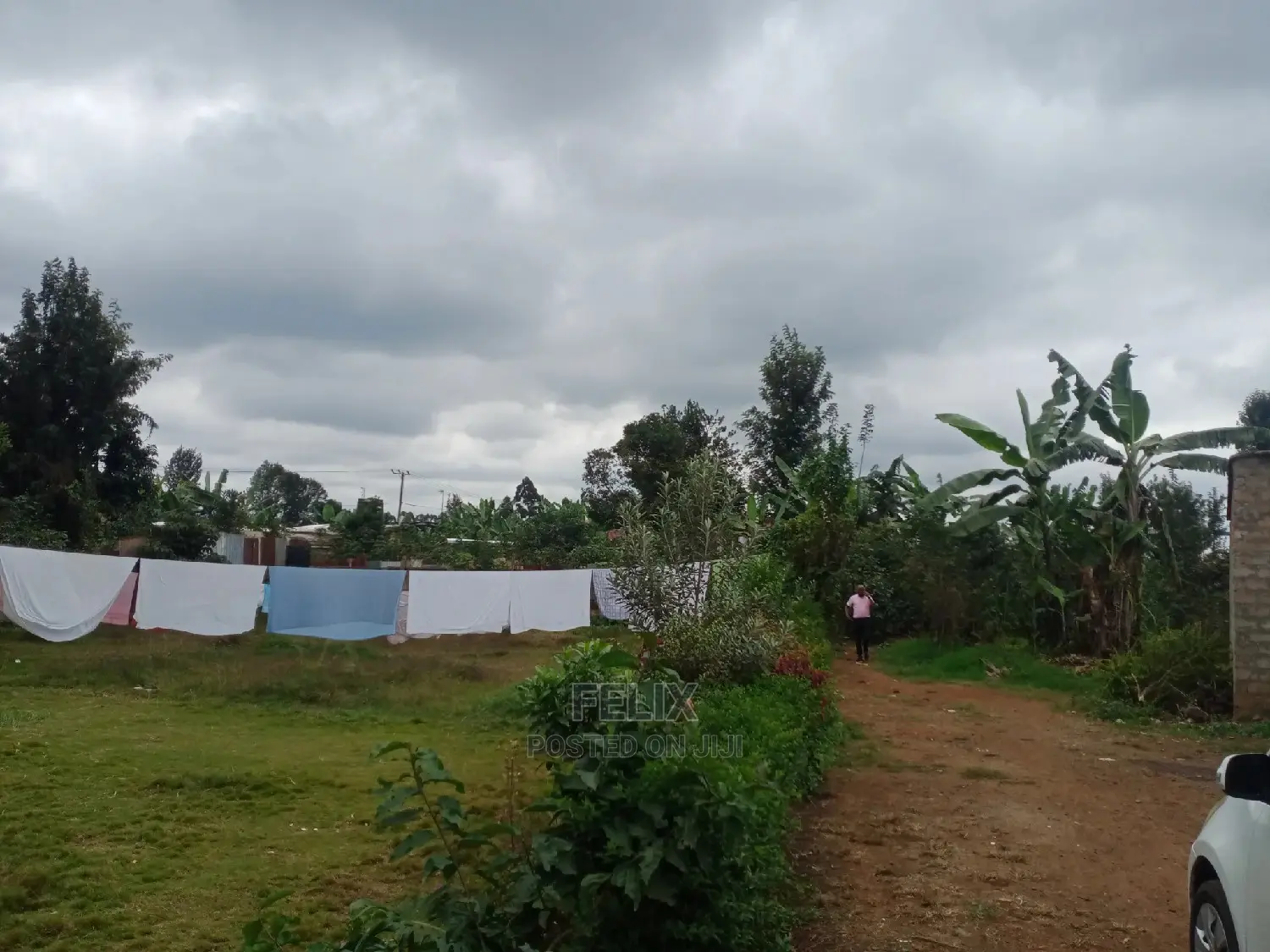 Karatina Prime Plot