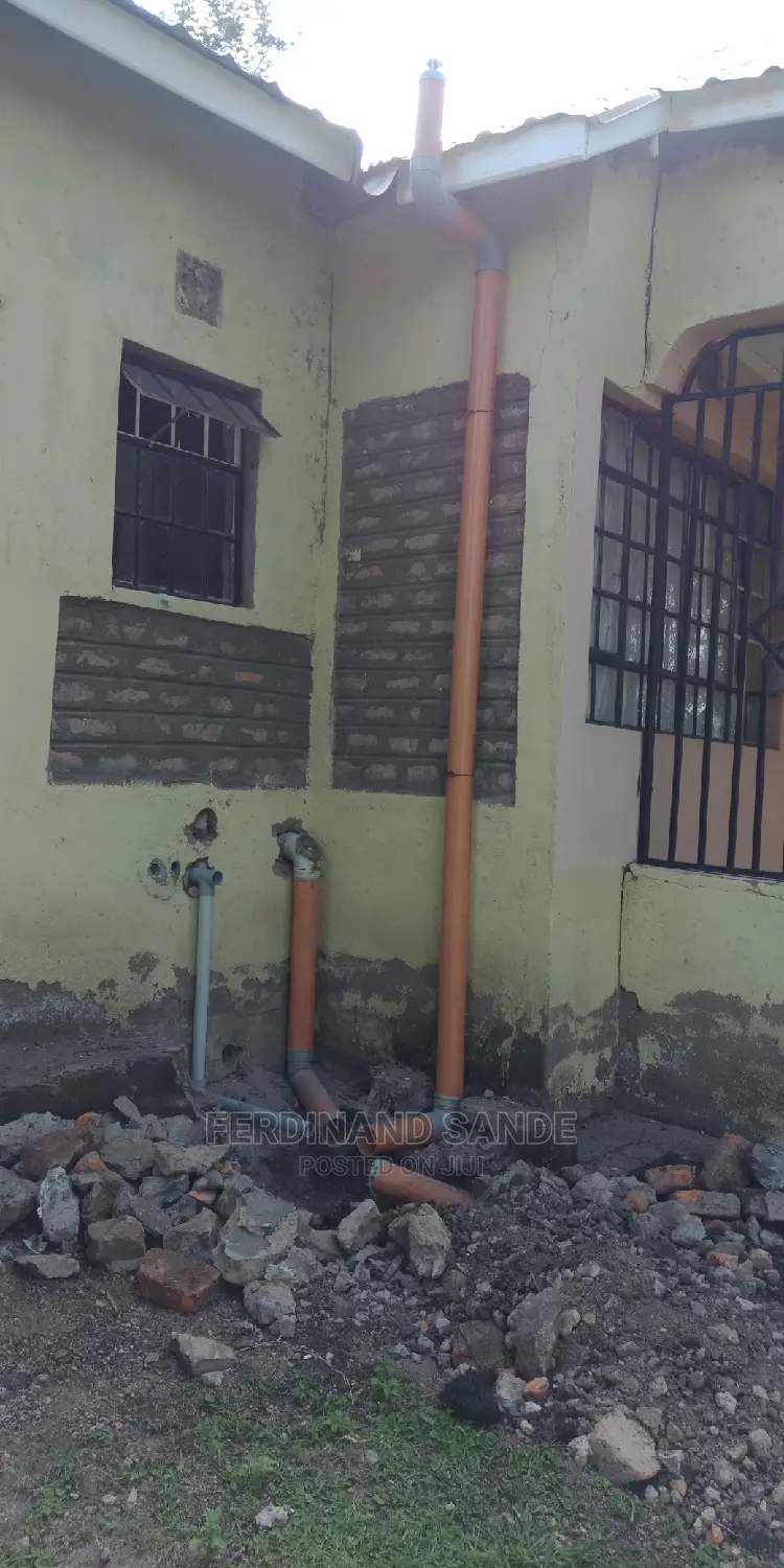 Professional Plumber