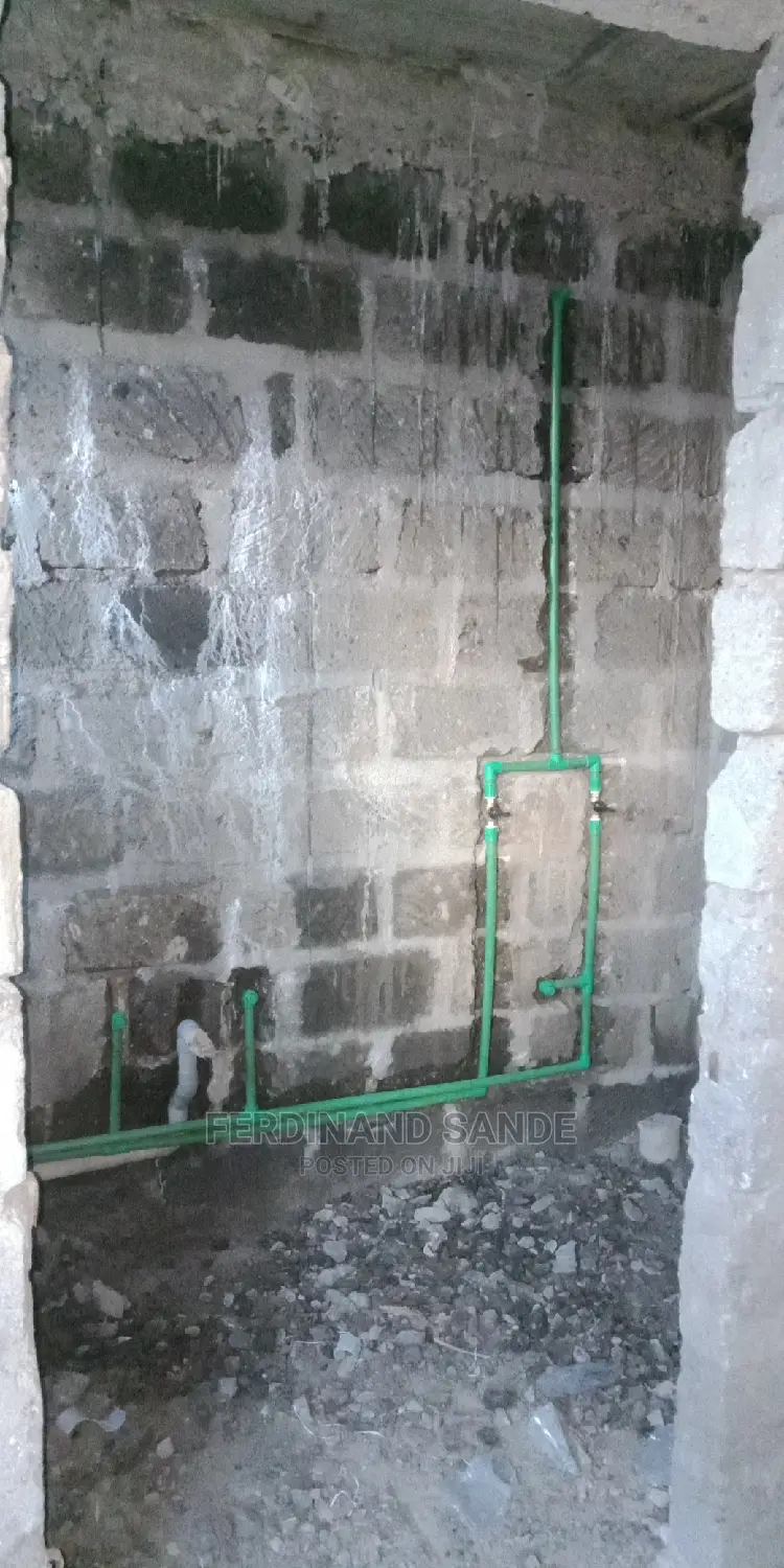 Professional Plumber