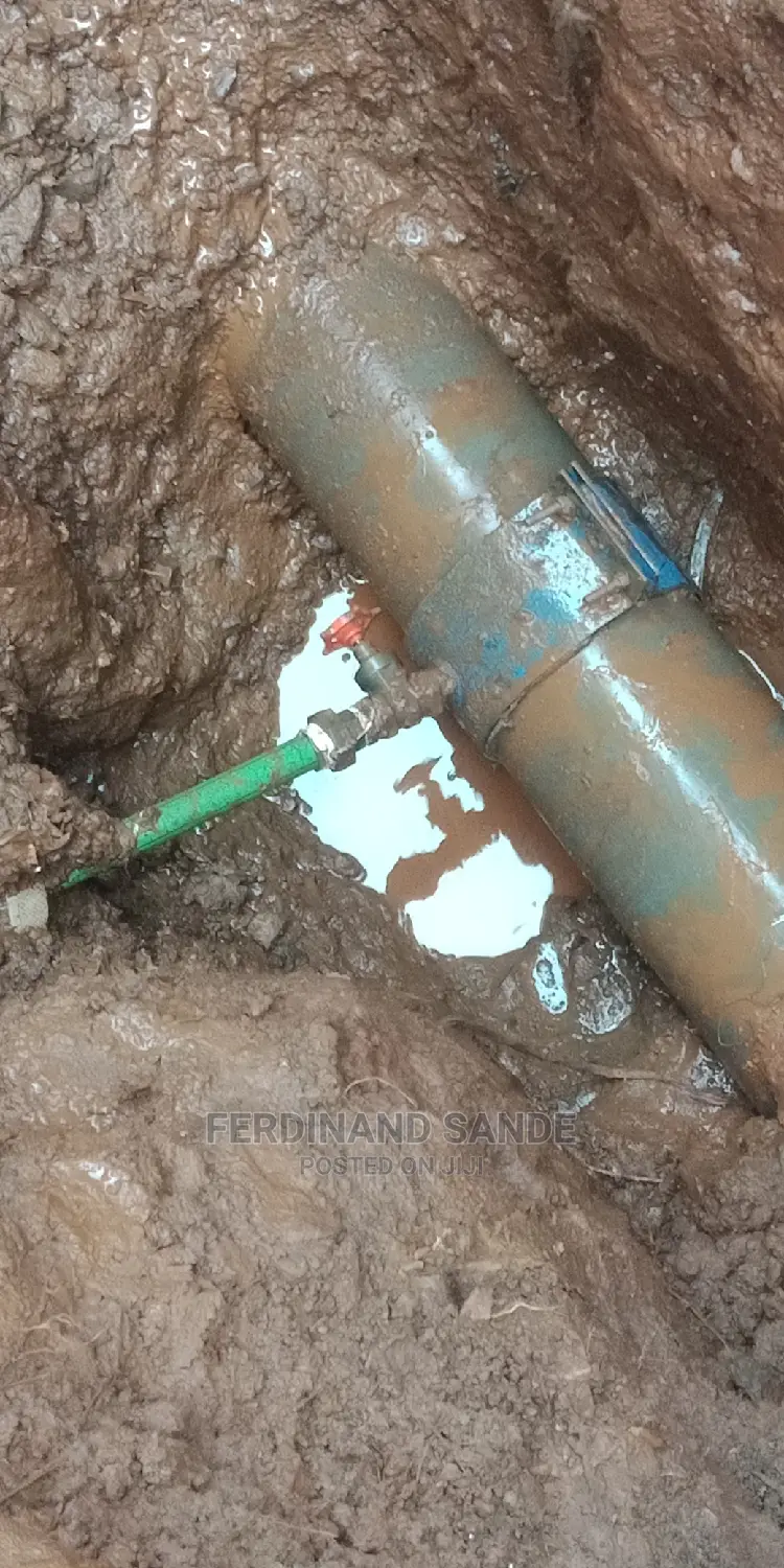 Professional Plumber