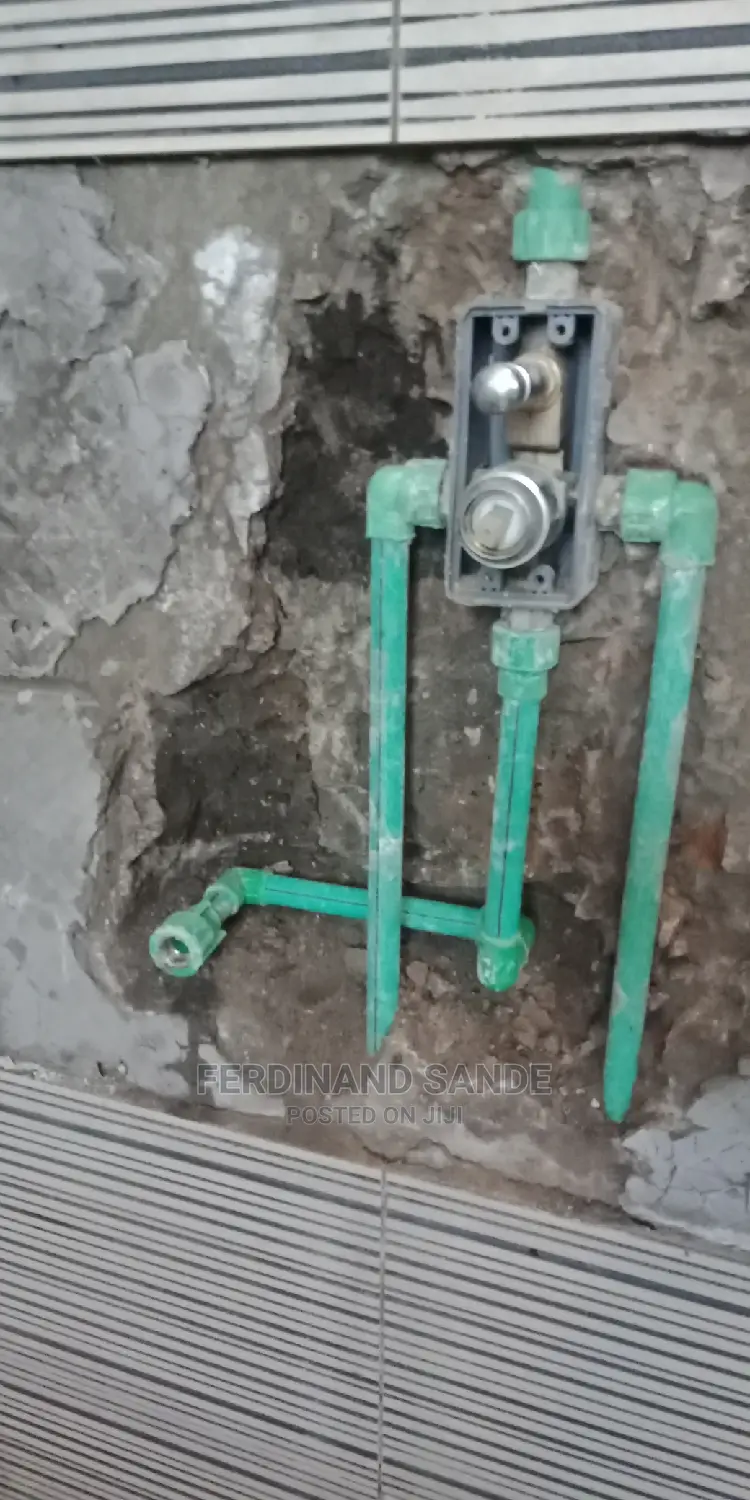 Professional Plumber