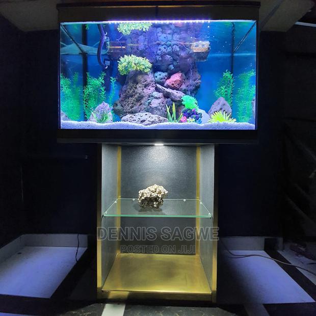 Aquadore Large Aquariums - thumbnail 3