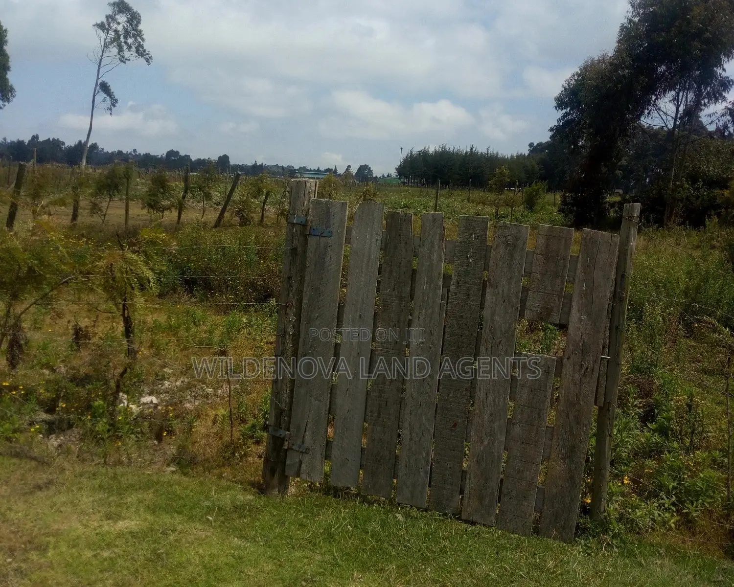 50*100 Plot on Sale at Flyover