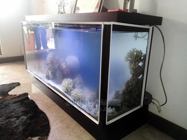 Aquadore Large Aquariums - thumbnail 14