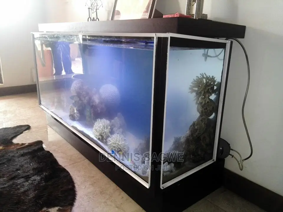 Aquadore Large Aquariums