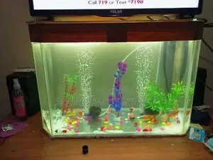 Custom Aquarium, Aquarium,Aquarium, Aquarium