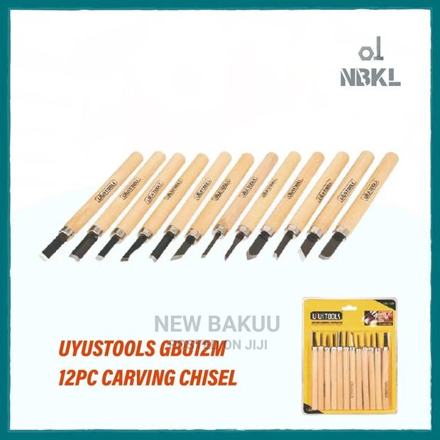 Uyustools 12pc Carving Chisel Gbu12m