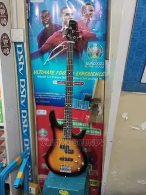 Bass Guitar 4 Stings Fenders