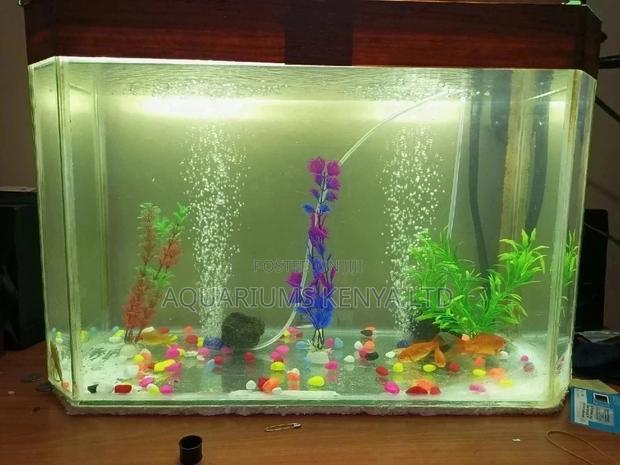 Aquariums, Custom Aquariums. - main view
