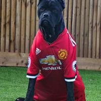 Samuel Gichonge logo