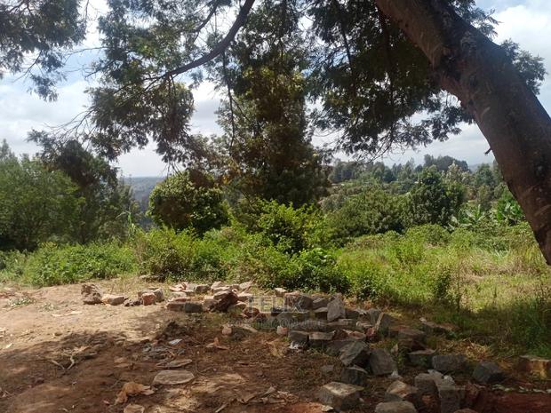 Nyeri/Gatitu Prime Plots - thumbnail 2