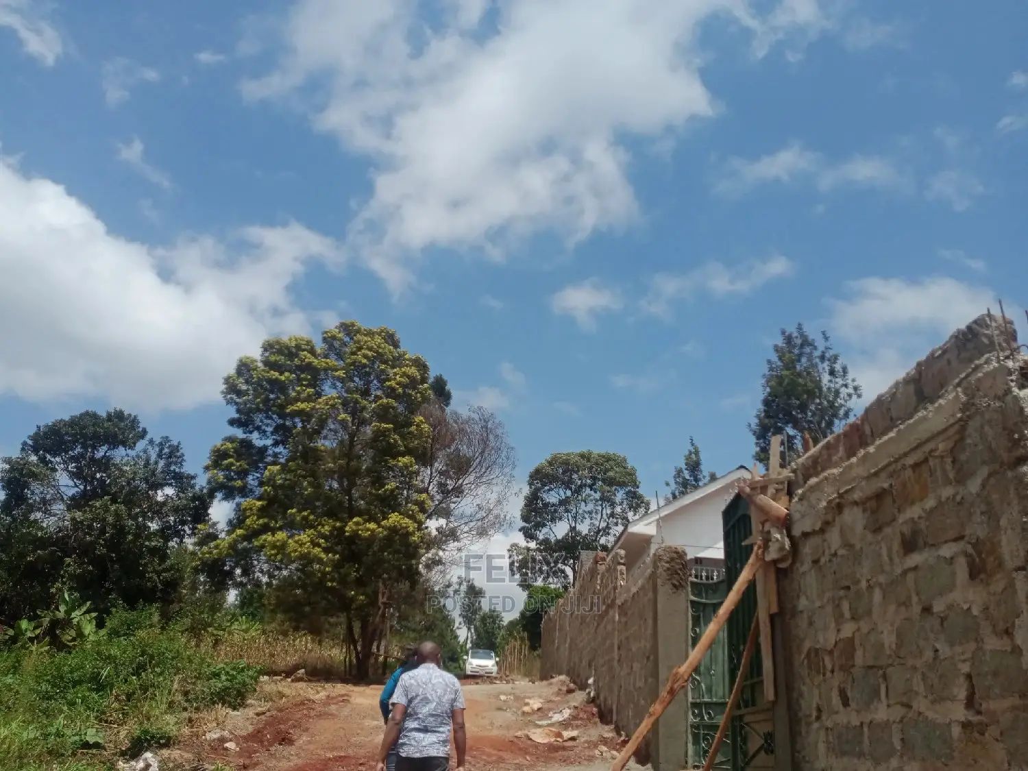 Nyeri/Gatitu Prime Plots