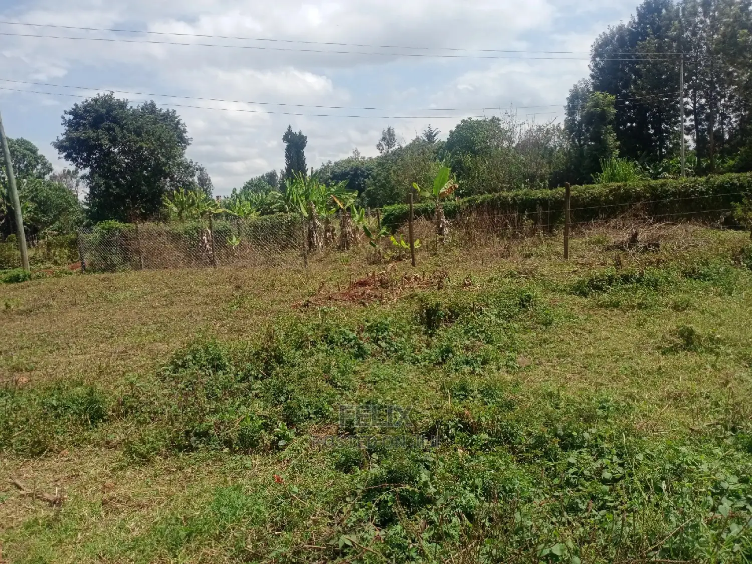 Nyeri /Gatitu Quarter Plots