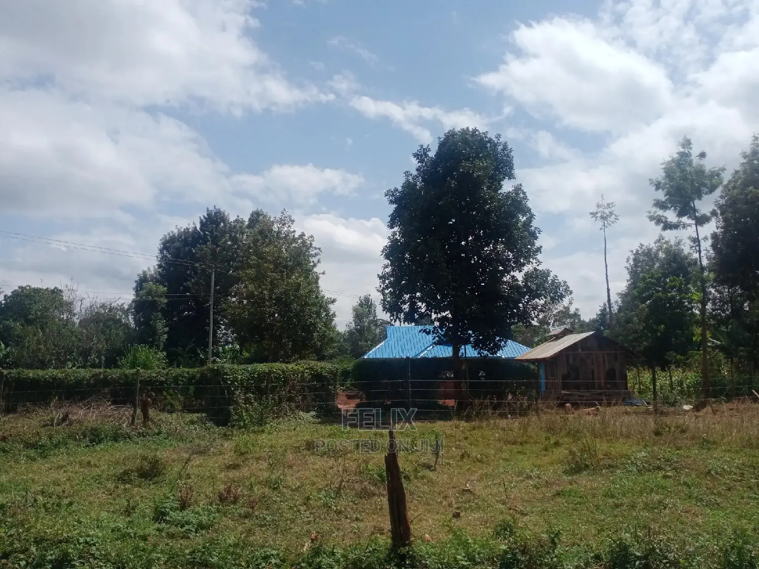 Nyeri /Gatitu Quarter Plots