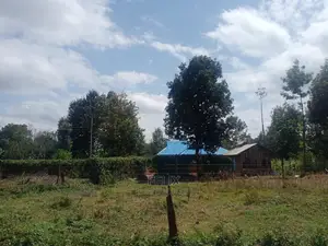 Nyeri /Gatitu Quarter Plots
