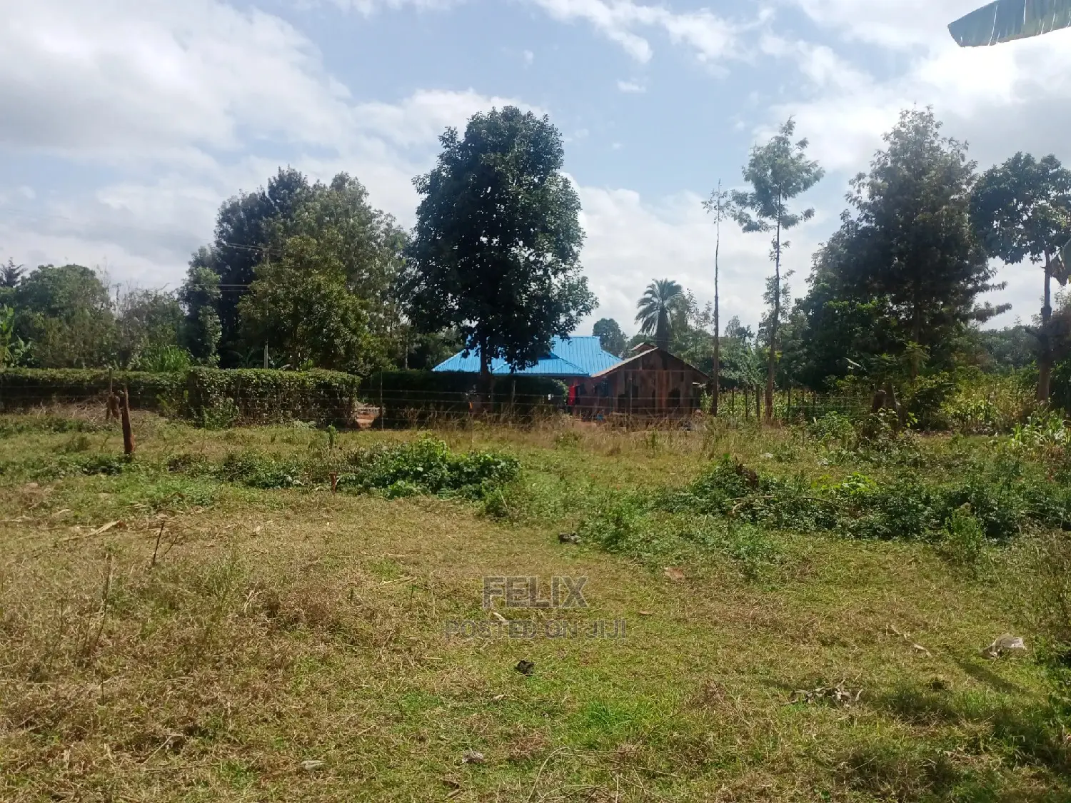 Nyeri /Gatitu Quarter Plots
