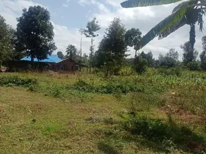 Nyeri /Gatitu Quarter Plots