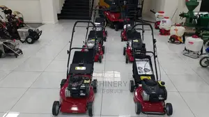 125cc Briggs and Stratton Lawn Mowers