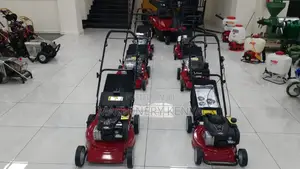 125cc Briggs and Stratton Lawn Mowers