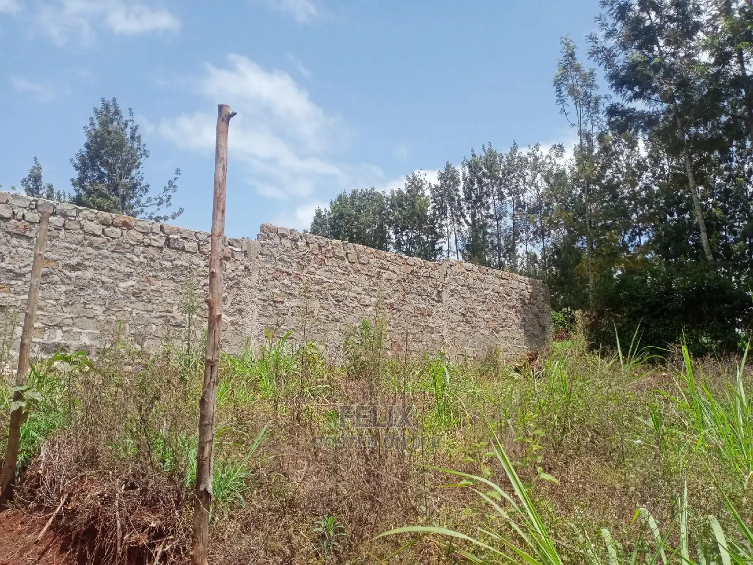 Karatina Quarter Plots 100/100