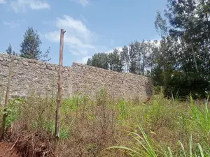 Karatina Quarter Plots 100/100