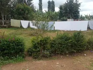 Karatina Quarter Plots 100/100