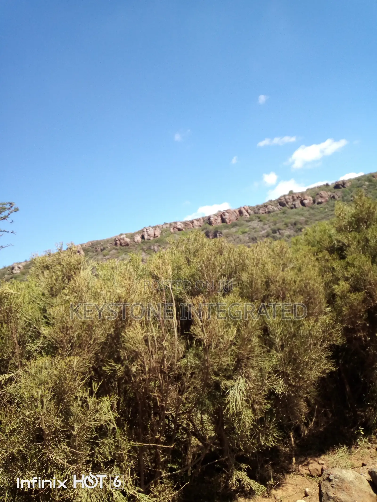 37 Acre Land for Sale in Ewaso Kedong,Kajiado