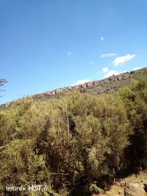 37 Acre Land for Sale in Ewaso Kedong,Kajiado