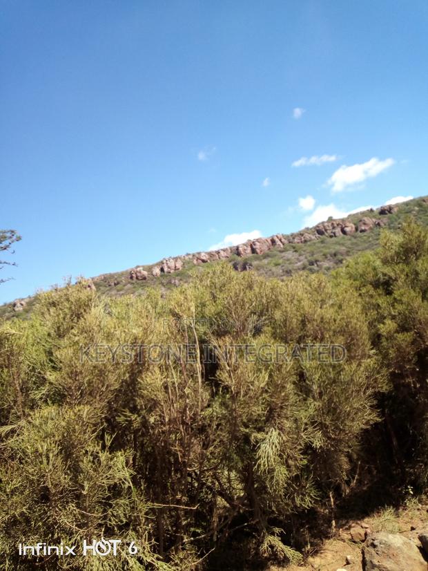 37 Acre Land for Sale in Ewaso Kedong,Kajiado