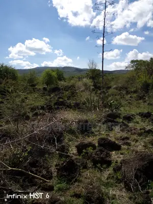 37 Acre Land for Sale in Ewaso Kedong,Kajiado