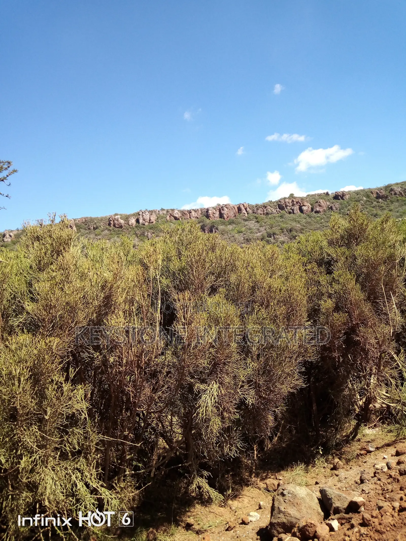 37 Acre Land for Sale in Ewaso Kedong,Kajiado