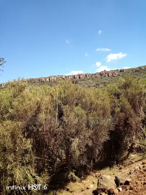 37 Acre Land for Sale in Ewaso Kedong,Kajiado