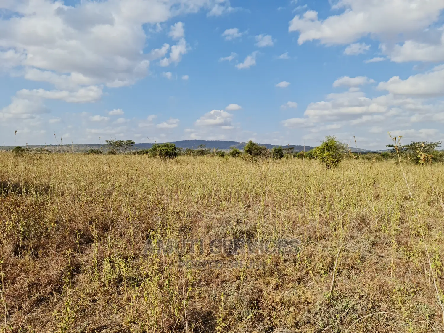 5acres Mombasa Rd, Maanzoni