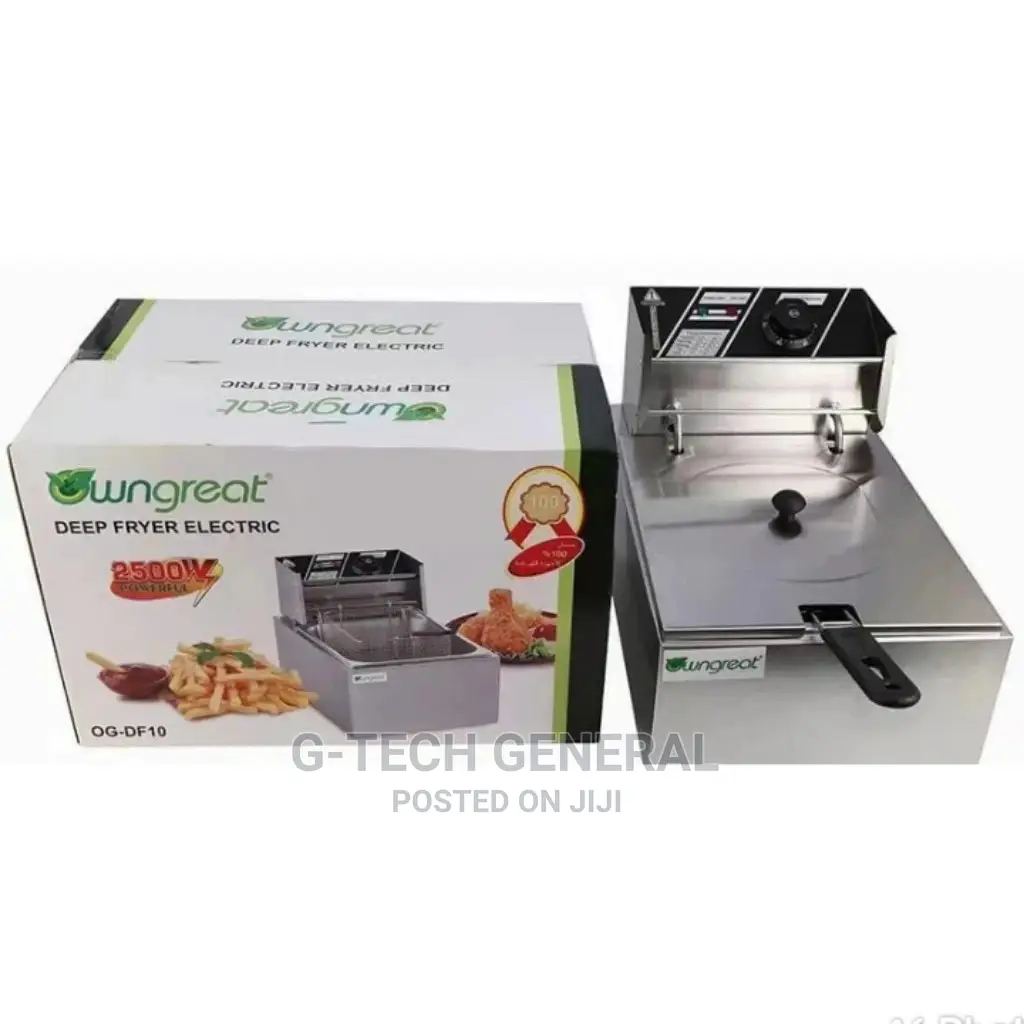 Single Deep Fryer/Commercial Fryer 6l